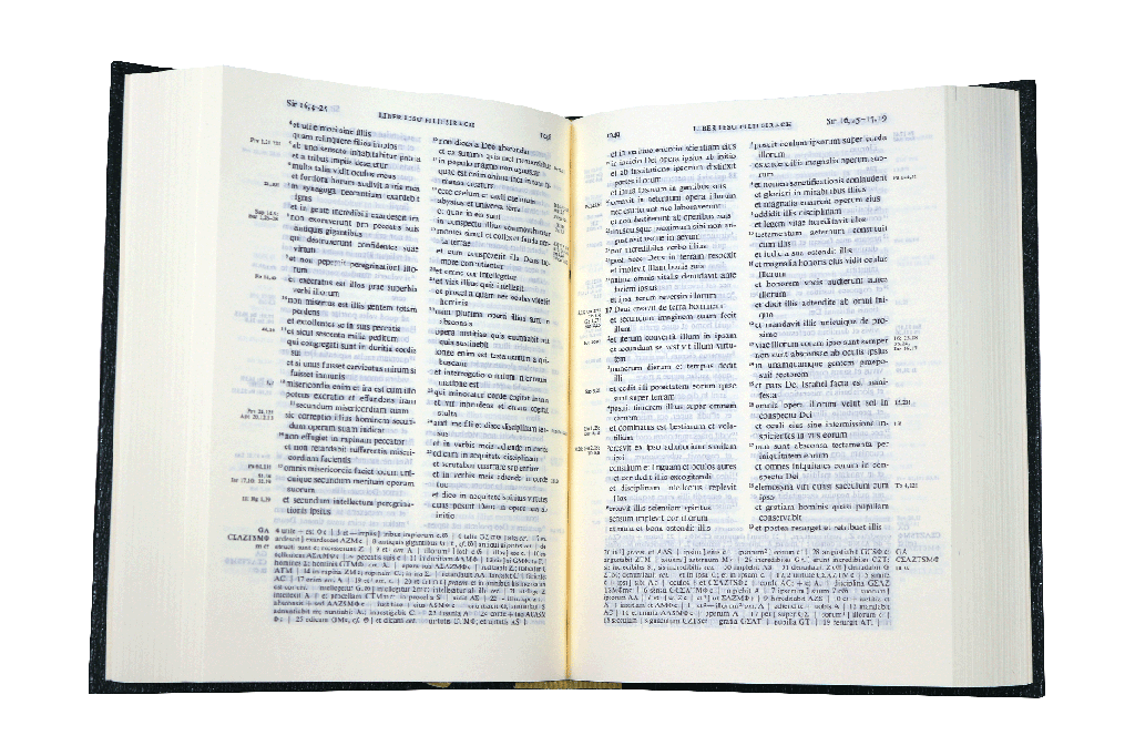 Biblia Sacra Vulgata Tapa Dura Verde [VULGATA]