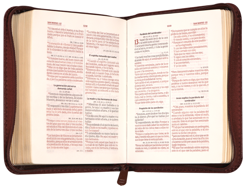 Biblia Reina Valera 1960 Mediana Letra Grande Imitación Piel Vino QR [RVR055cZLGa PJR]