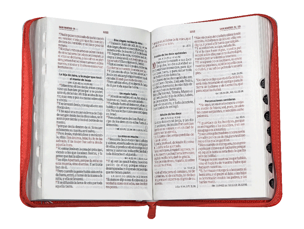 Biblia Reina Valera 1960 Mediana Letra Grande Imitación Piel Rosa Plateado QR [RVR056cZTILG PJR]