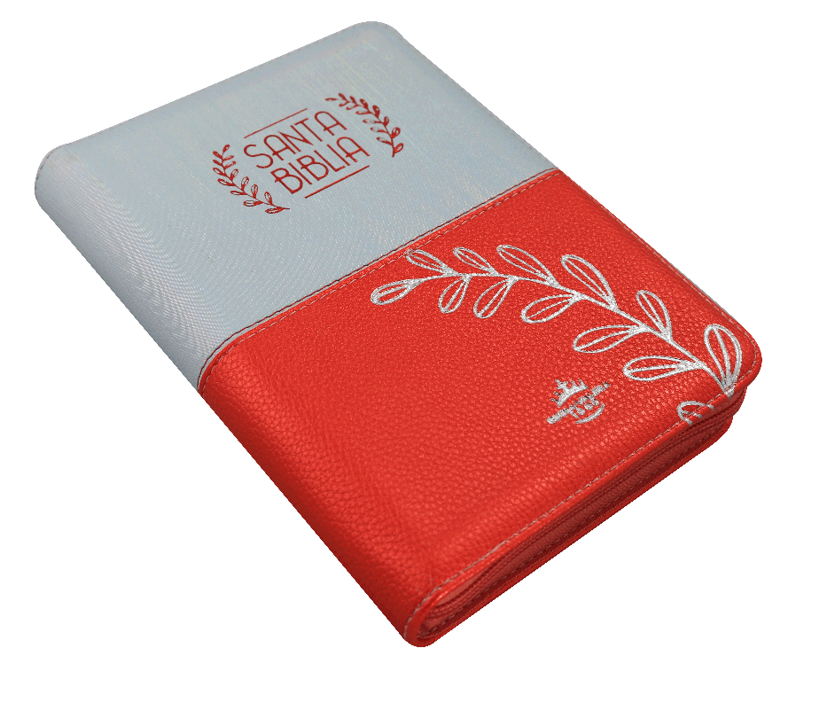 Biblia Reina Valera 1960 Mediana Letra Grande Imitación Piel Rosa Plateado QR [RVR056cZTILG PJR]