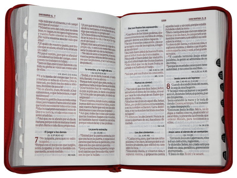 Biblia Reina Valera 1960 Mediana Letra Grande Imitación Piel Rojo Hojitas QR [RVR056cZTILG PJR]