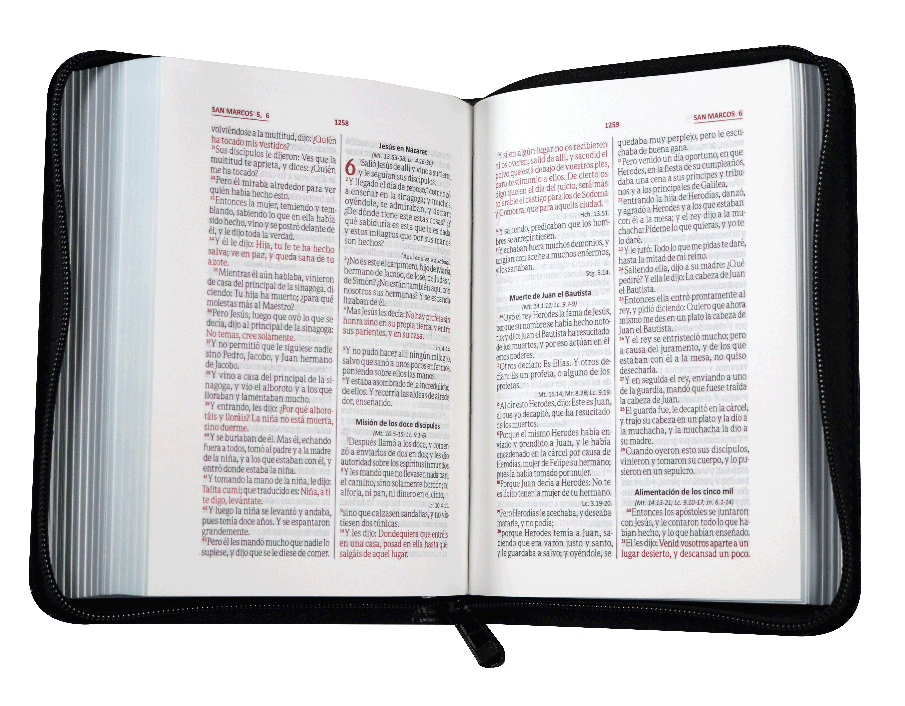 Biblia Reina Valera 1960 Bolsillo Letra Chica Imitación Piel Negro QR [RVR025cZLM PJR]
