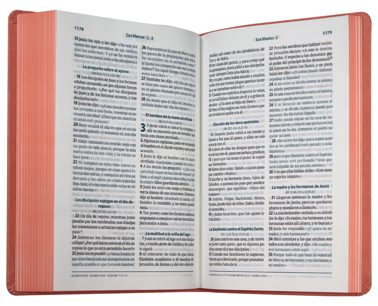 Biblia Reina Valera Contemporánea Mediana Letra Grande Imitación Piel Rosa QR [RVC066cLG PJR]