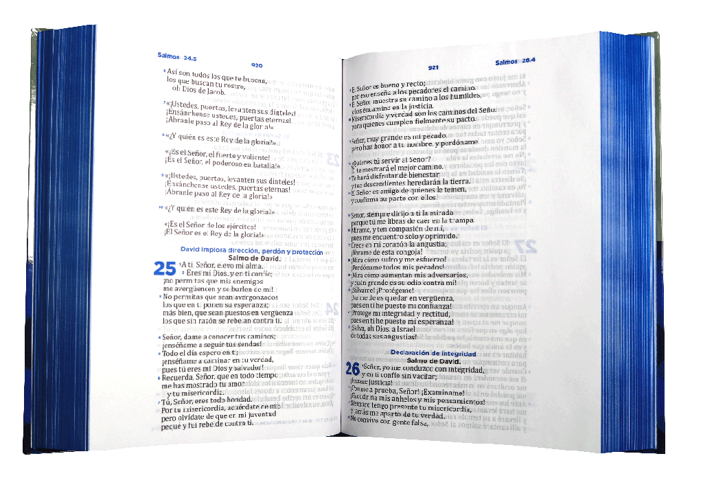 Biblia Reina Valera Contemporánea Grande Letra Grande Pastoral Ceremonias y Sermones Tapa Dura Azul-Gris [RVC083cLGPJR]