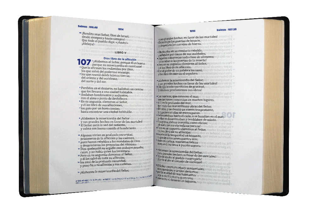 Biblia de Estudio Pastoral Ceremonias y Sermones Reina Valera Contemporánea Grande Letra Grande Imitación Piel Negro [RVC086cLGPJR]