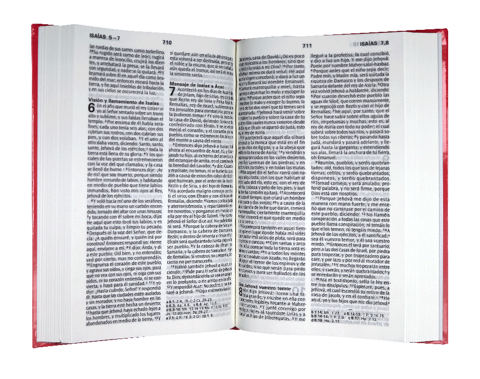 Biblia Reina Valera 1960 Mediana Letra Grande Tapa Dura Rosa [RVR063cPJR]
