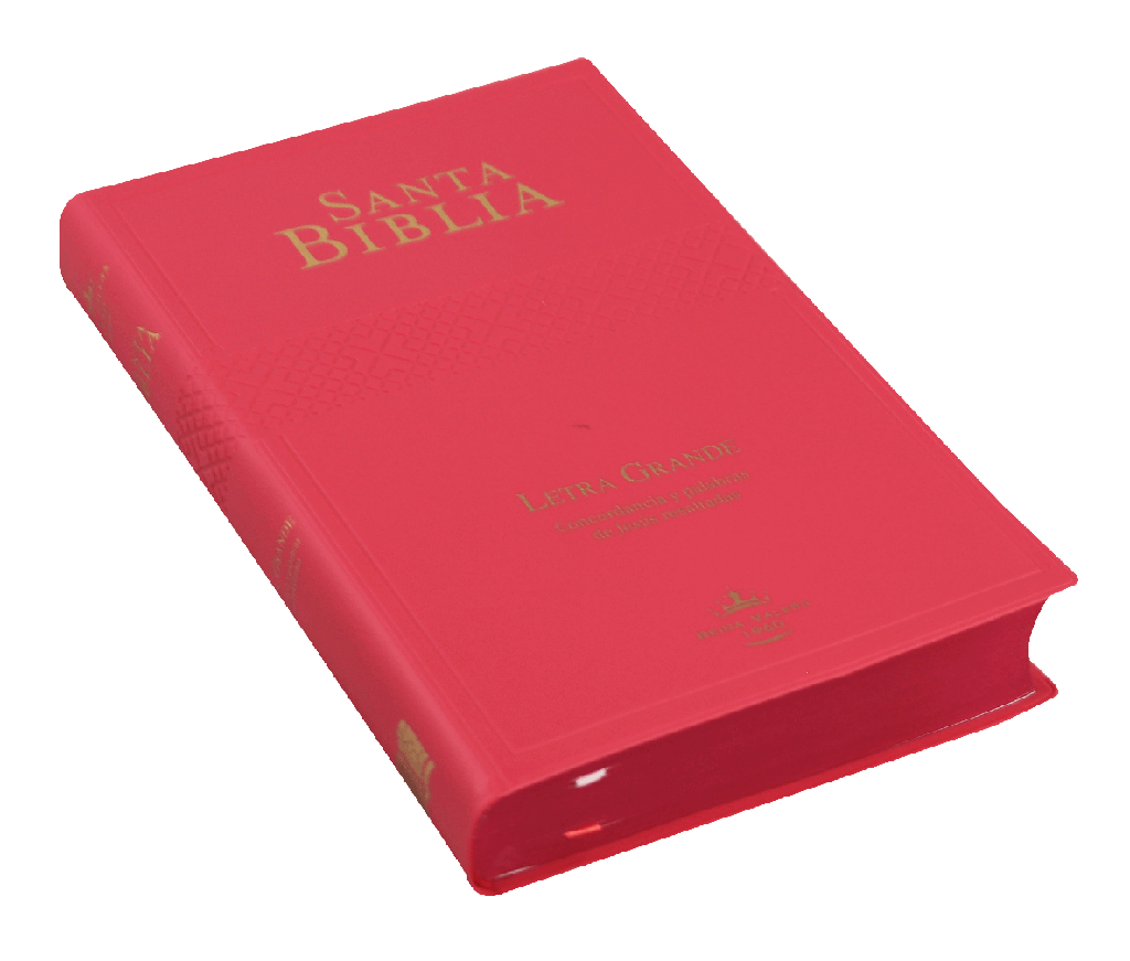 Biblia Reina Valera 1960 Mediana Letra Grande Vinil Fucsia [RVR062cPJR]