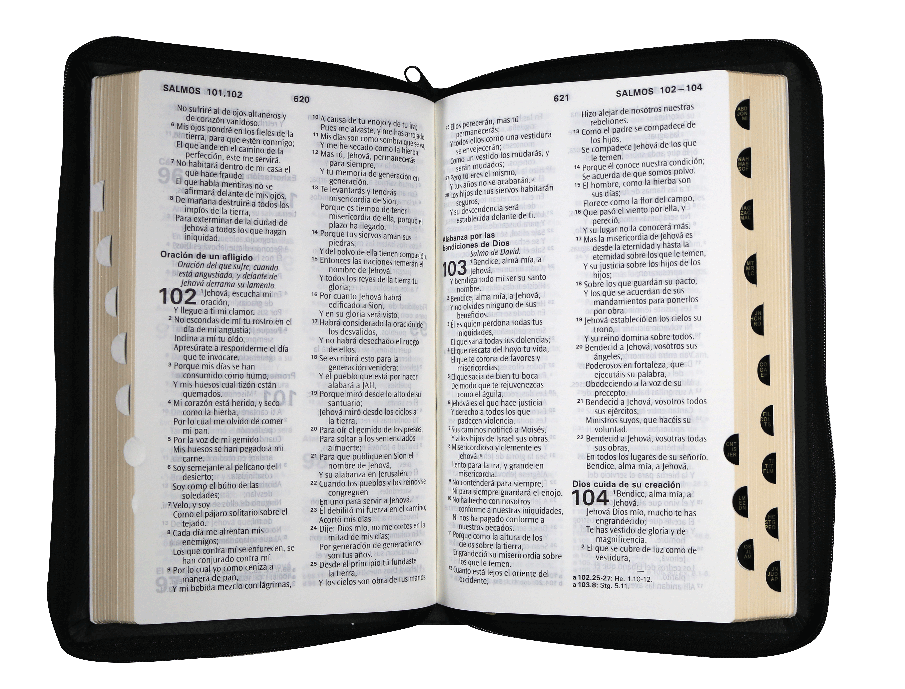 Biblia Reina Valera 1960 Mediana Letra Grande Imitación Piel Negro [RVR065cPJRZTI]