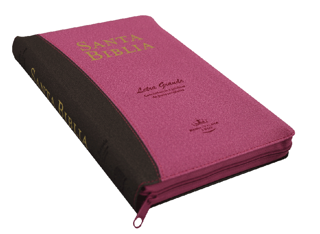 Biblia Reina Valera 1960 Mediana Letra Grande Imitación Piel Rosa-Marrón [RVR065cPJRZTI]