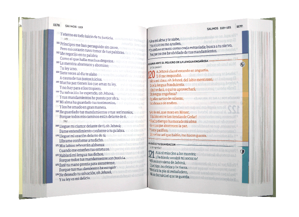 Biblia de Oración Reina Valera 1960 Grande Letra Grande Tapa Dura Crema [RVR083cLGPJR]