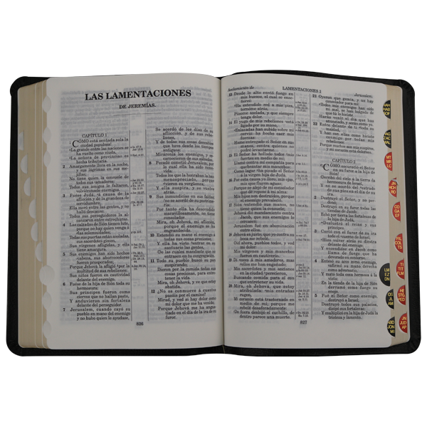 Biblia Reina Valera 1909 Mediana Negro [VR059TI]