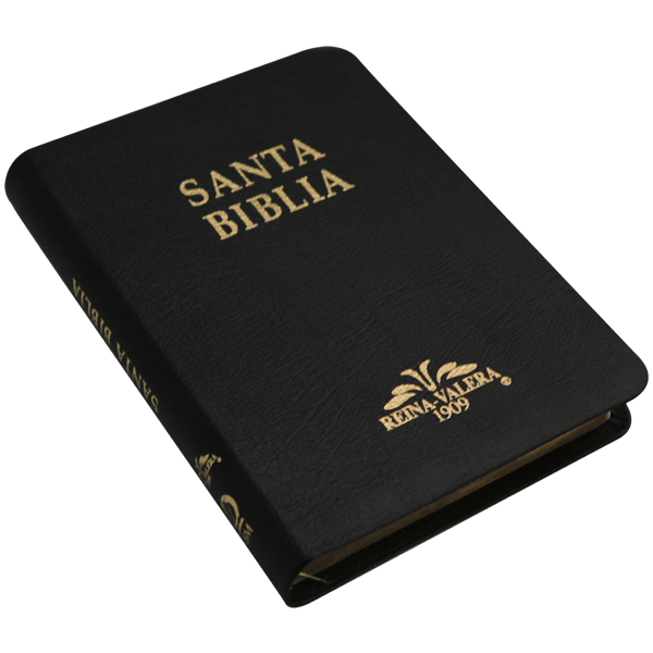 Biblia Reina Valera 1909 Mediana Negro [VR059TI]