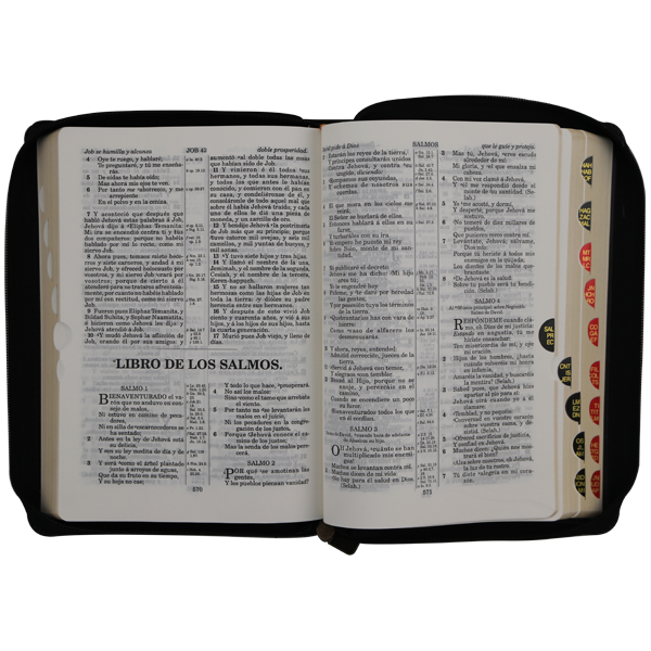Biblia Reina Valera 1909 Mediana Negro [VR059ZTI]
