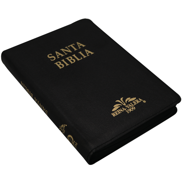 Biblia Reina Valera 1909 Mediana Negro [VR059ZTI]