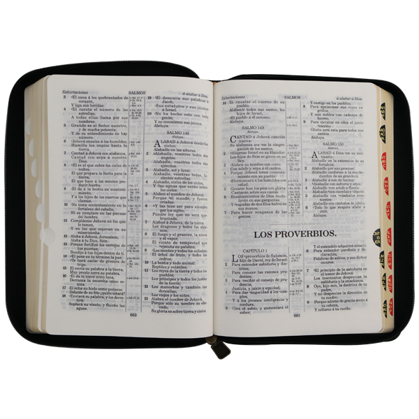 Biblia Reina Valera 1909 Mediana Negro VR055ZTI