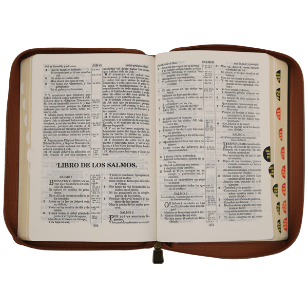 Biblia Reina Valera 1909 Mediana Café VR055ZTI