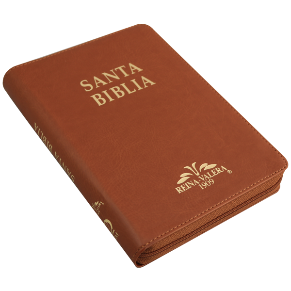 Biblia Reina Valera 1909 Mediana Café VR055ZTI