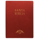 Biblia Reina Valera 1909 Grande Vino [VR082LM]
