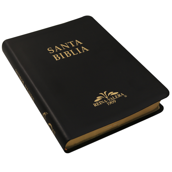 Biblia Reina Valera 1909 Grande Negro [VR085LM]