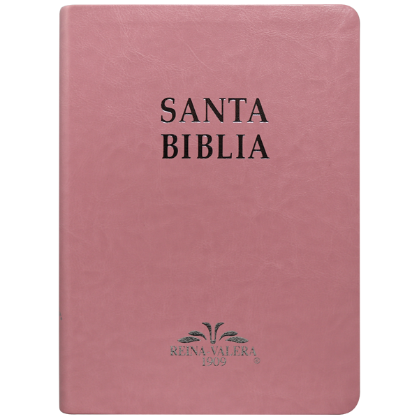 Biblia Reina Valera 1909 Grande Rosa [VR085LM]