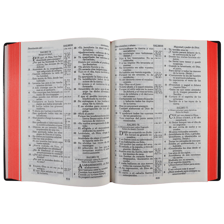 Biblia Reina Valera 1909 Grande Negro [VR082LM]