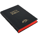 Biblia Reina Valera 1909 Grande Negro [VR082LM]