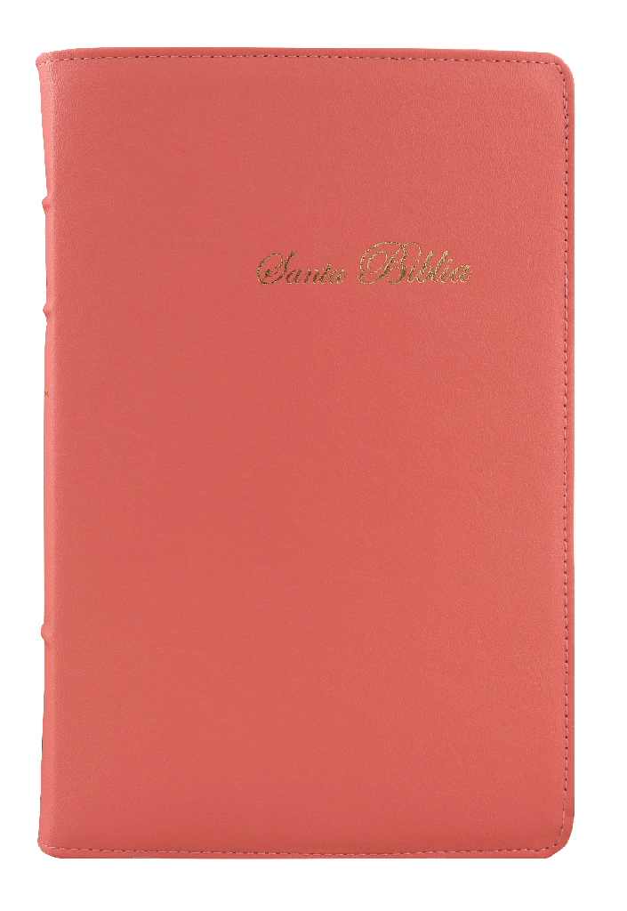 Biblia Reina Valera 1960 Mediana Letra Grande Curpiel Rosa Palo [RVR066cLGPJRTI]