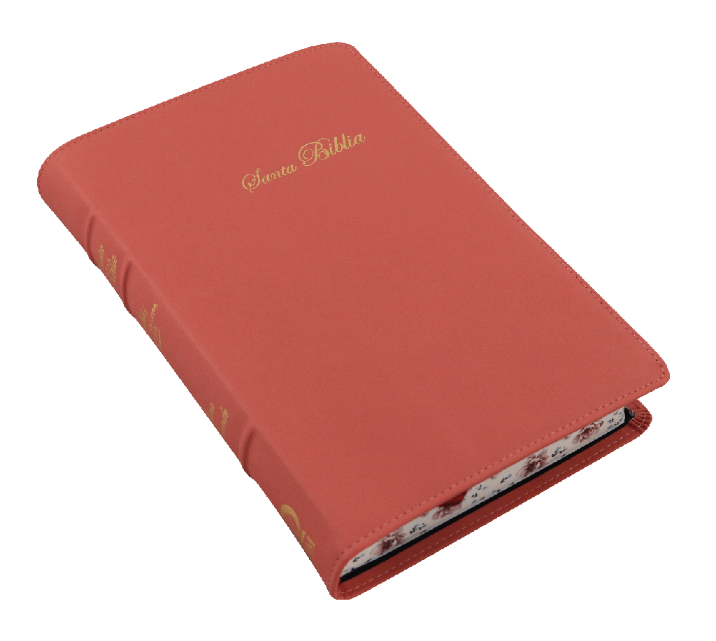 Biblia Reina Valera 1960 Mediana Letra Grande Curpiel Rosa Palo [RVR066cLGPJRTI]