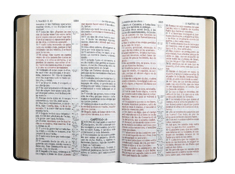 Biblia Clásica Reina Valera 1909 Con Referencias Negro Imitación Piel