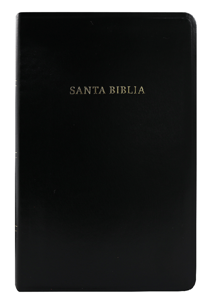 Biblia Clásica Reina Valera 1909 Con Referencias Negro Imitación Piel