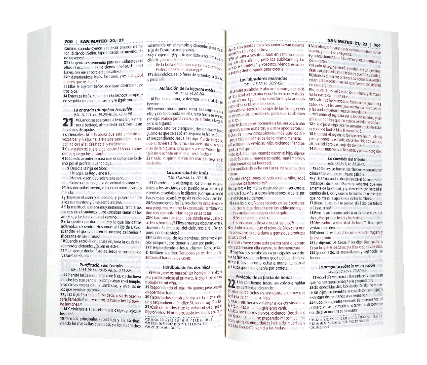Biblia Reina Valera 1960 Mediana Letra Chica Rústica [RVRePJR SC]