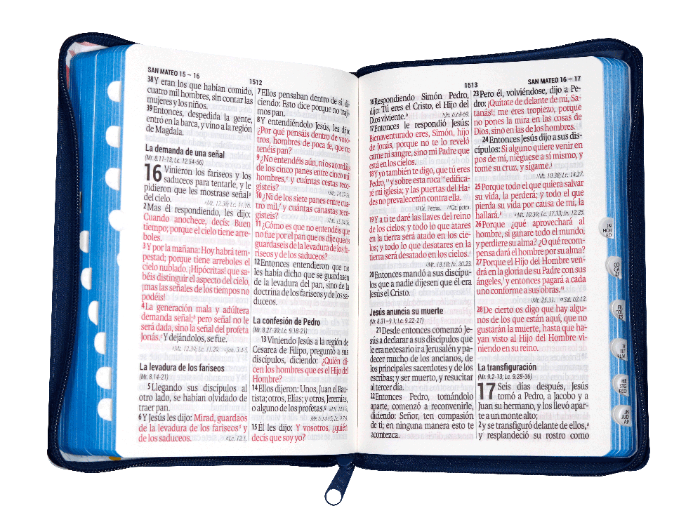 Biblia Reina Valera 1960 Mediana Letra Gigante Imitación Piel Azul Flores [RVR066ZLGiPJR]