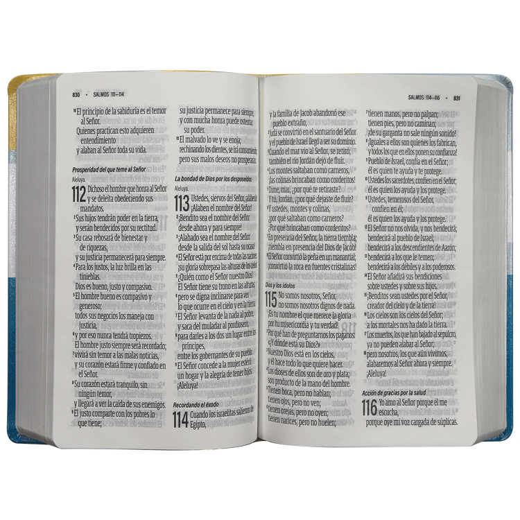 Biblia Reina Valera Contemporánea Mediana Letra Gigante Imitación Piel Azul [RVC.66cLGiPJR]