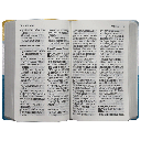 Biblia Reina Valera Contemporánea Mediana Letra Gigante Imitación Piel Azul [RVC.66cLGiPJR]