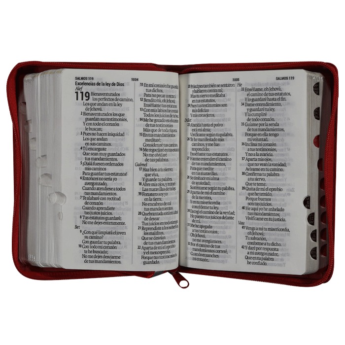 Biblia Reina Valera 1960 Chica Letra Grande Imitación Piel Roja [RVR046cLGPJRZTI]