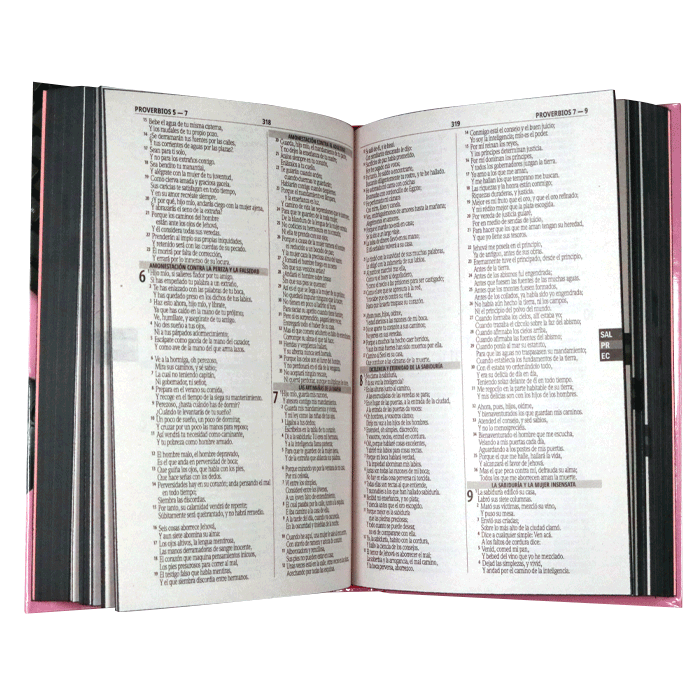 Biblia para Jóvenes Fuente de Bendiciones Reina Valera 1960 Mediana Letra Mediana Tapa Dura Rosa [RVR.63uecFBPJr]