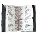 Biblia para Jóvenes Fuente de Bendiciones Reina Valera 1960 Mediana Letra Mediana Tapa Dura Rosa [RVR.63uecFBPJr]