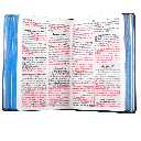 Biblia Reina Valera 1960 Mediana Letra Gigante Tapa Dura León Azul [RVR063cLGPJR]