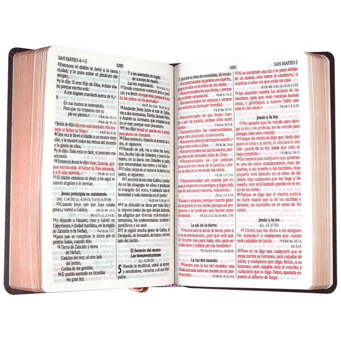 Biblia Reina Valera 1960 Mediana Letra Gigante Tapa Dura Rosas [RVR063cLGPJR]