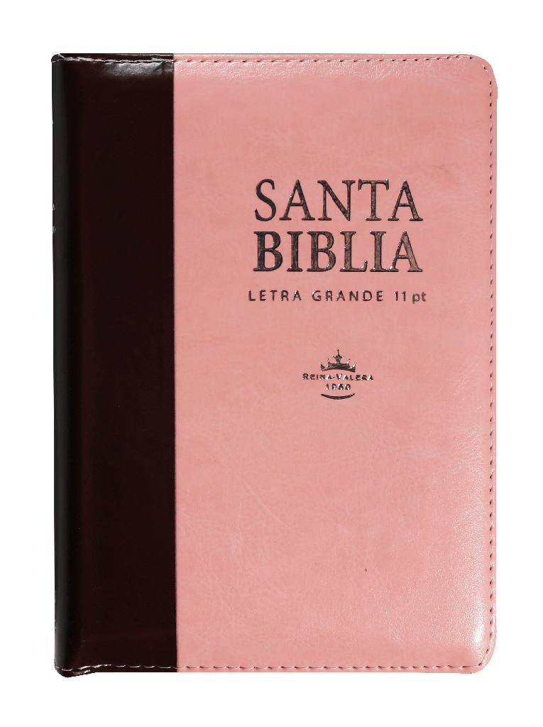 Biblia Reina Valera 1960 Chica Letra Grande Imitación Piel Rosa Marrón [RVR046cZTILSGiPJR]