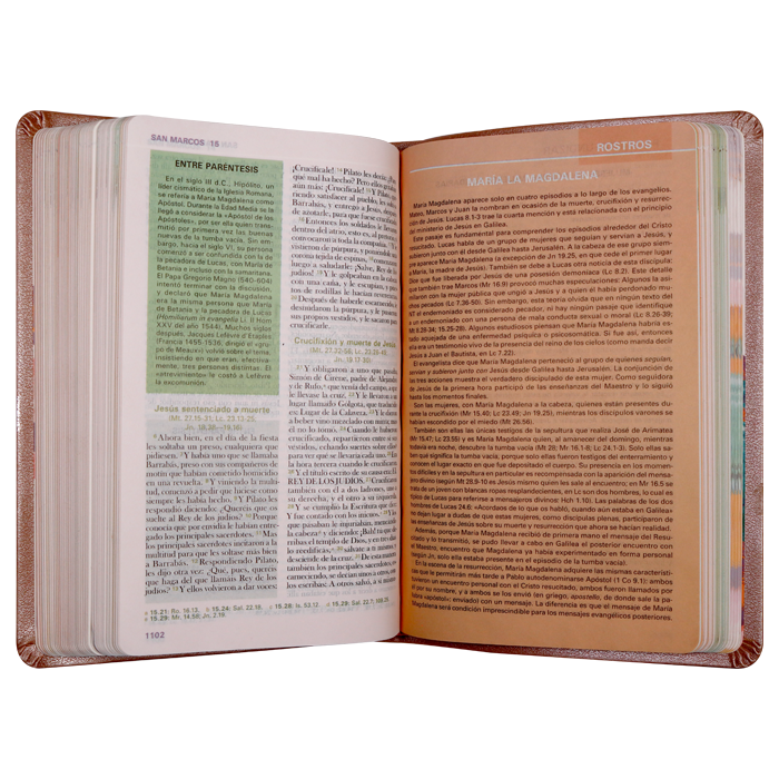 Biblia La Mujer en la Biblia Reina Valera 1960 Mediana Letra Grande BM Imitación Piel Rosa Oro [RVR066c]