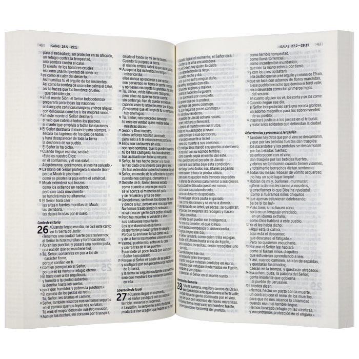 Biblia Dios Habla Hoy Mediana Letra Mediana Rústica Olas [DHH.60ue]