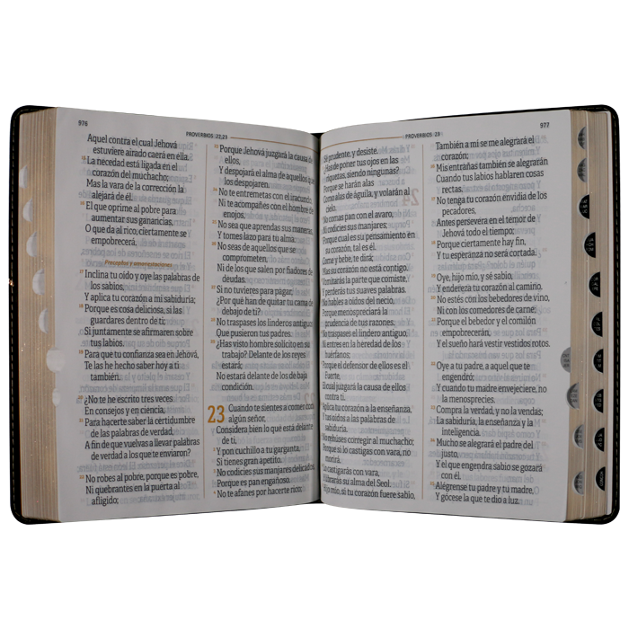 Biblia Reina Valera 1960 Grande Letra Grande Imitación Piel Negro Código QR [RVR086cTILSGiPJR