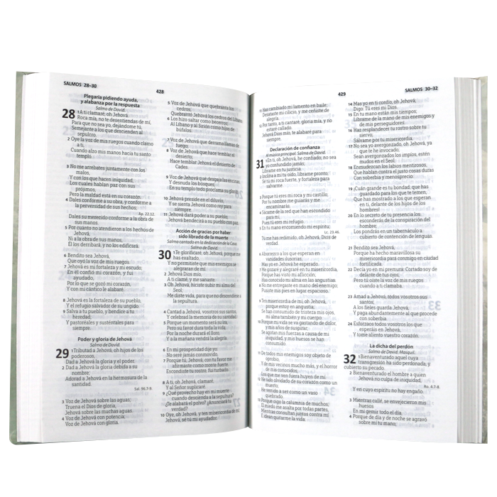 Biblia Reina Valera 1960 Mediana Letra Mediana Tapa Flexible Gris [RVR068eLRPJR]