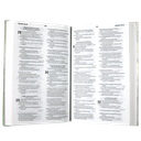Biblia Reina Valera 1960 Mediana Letra Mediana Tapa Flexible Gris [RVR068eLRPJR]