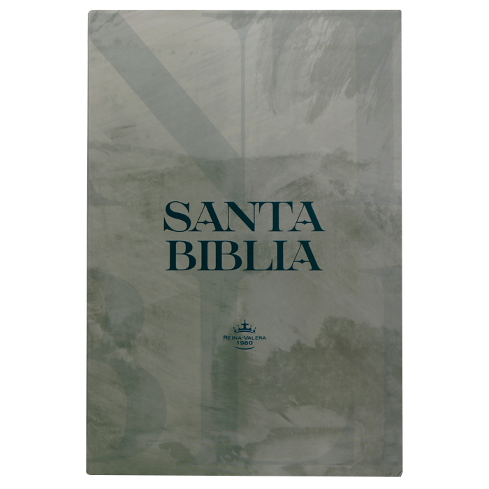 Biblia Reina Valera 1960 Mediana Letra Mediana Tapa Flexible Gris [RVR068eLRPJR]