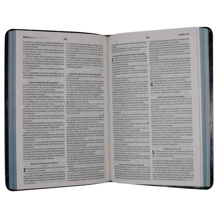 Biblia Reina Valera 1960 Mediana Letra Mediana Imitación Piel Negro [RVR066eLM]
