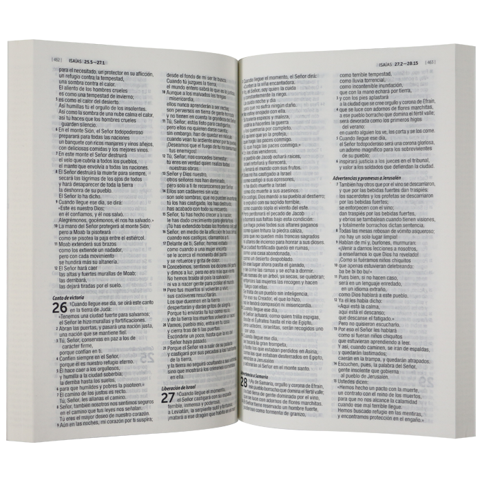 Biblia Dios Habla Hoy Mediana Letra Mediana Rústica Flores Rosas [DHH.60ue]