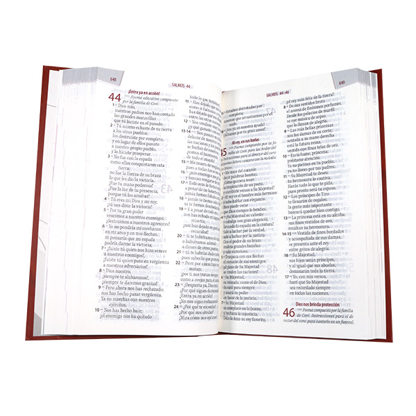 Biblia Ayudas Salud Emocional Traducción Lenguaje Actual Mediana Letra Grande Tapa Dura Rojo [TLA.63LGPJR] 