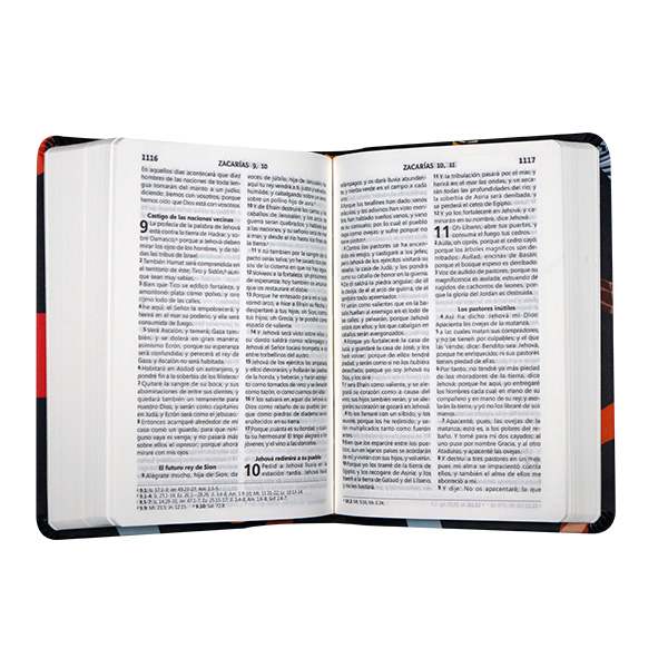 Biblia Reina Valera 1960 Chica Letra Grande Imitación Piel Negra Manos [RVR045cLG UT] 